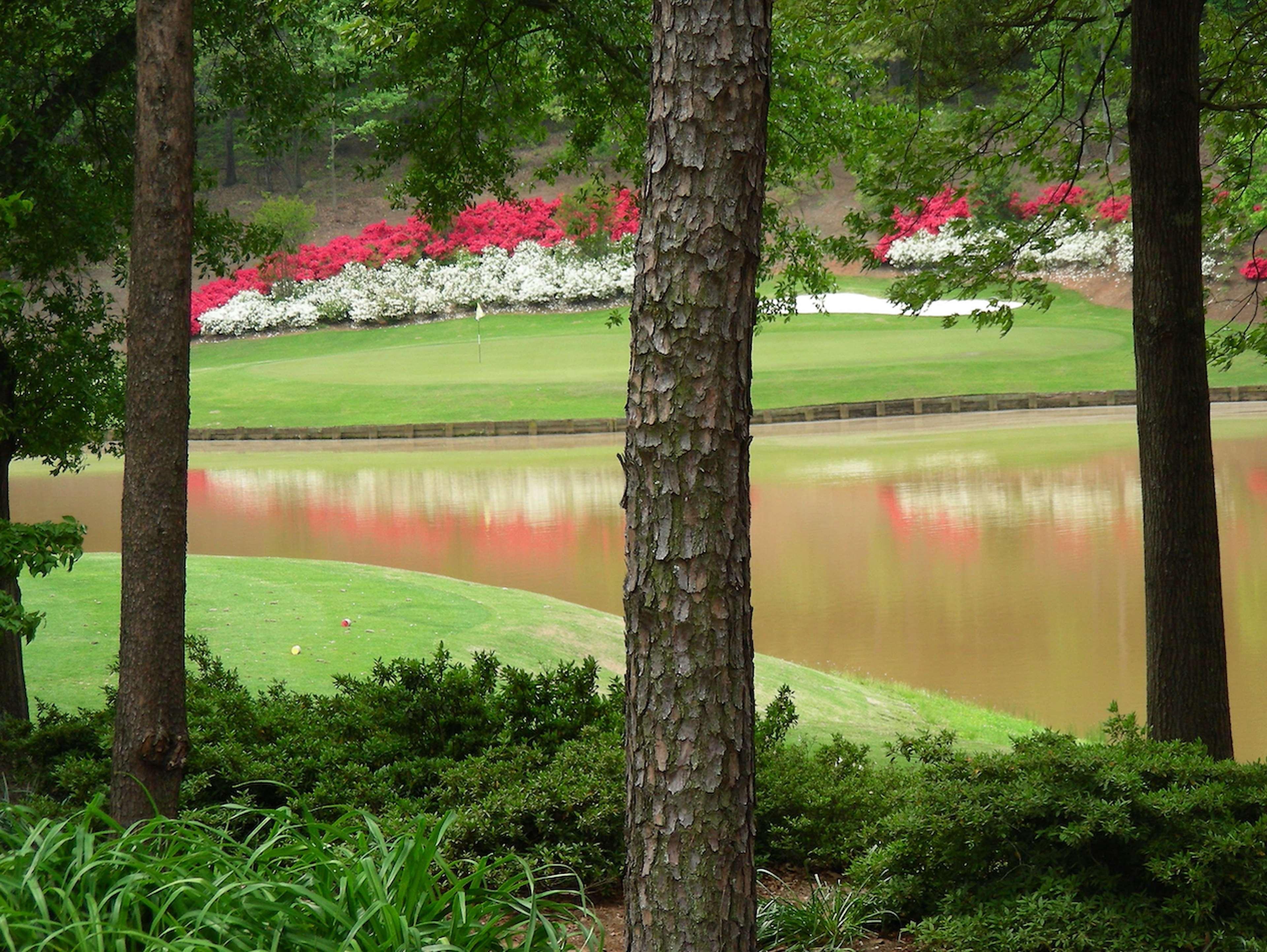 Embassy Suites Greenville Golf Resort & Conference Center Bagian luar foto
